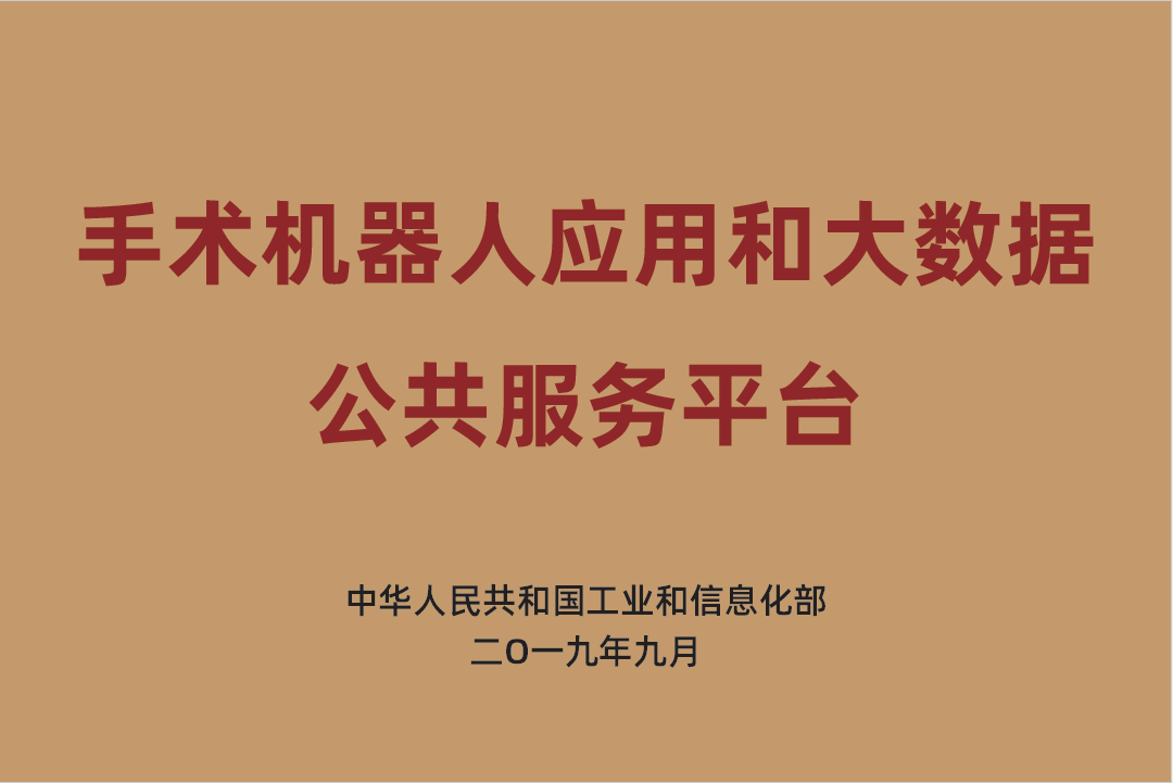 “手术机器人应用和大数据公共服务平台”